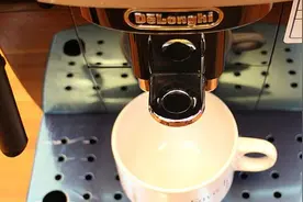 从一滴不沾到每天一杯：Delonghi 德龙 ECAM 22.110B咖啡机 简单体验图片