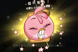 愤怒的小鸟：解锁史黛拉，我给它取名代号小粉，萌萌哒！视频封面