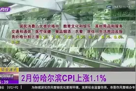 据调查，哈尔滨居民消费八大类价格中，教育文化和娱乐类涨幅最大视频封面