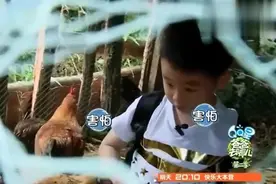 姐姐grace霸气外漏拿鸡蛋，杨阳洋胆小变身小绵羊视频封面