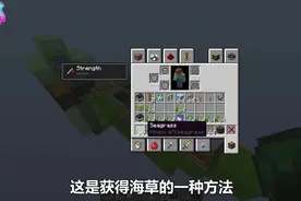 我的世界教程 教你打造全自动海龟养殖场