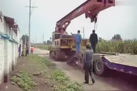 新手开旋挖机上板车，三个老司机一旁指挥都上不去！