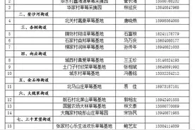 吃遍大连｜春节假期即将结束，带你体验田园风光感受采摘草莓的乐趣！图片