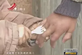 父亲宠爱4岁儿子，弟弟经常欺负智障姐姐，父亲冷眼相待不予理会视频封面