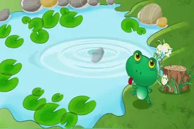 为什么石头抛在水里，水面会有一圈圈的波纹