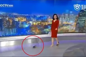 央视主播掉鞋淡定主持 脚很美网友爱上其淡定系中国骄傲图片
