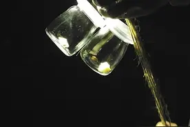 广州一景区展览萤火虫 “只能活三天”图片