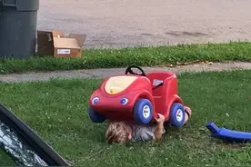 跟孩子玩躲猫猫，这些搞笑的躲藏方法你绝对意想不到！图片