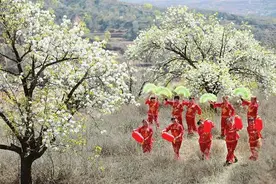 武乡县岭头梨花节开幕图片