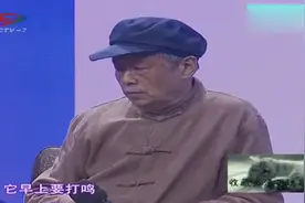 结婚后丈夫的农村亲戚住进女子家中她不乐意竟被公公一顿大骂视频封面