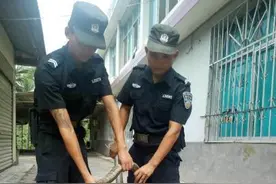 云南一巨型眼镜王蛇闯入校内对教师“围追堵截”图片