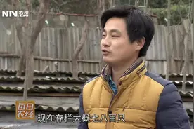 致富经：一只老鼠卖20，一年纯利就是5万元！邻里街坊都养它！