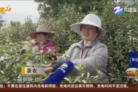 湖州：长兴紫笋茶开采，一斤两千元以上视频封面