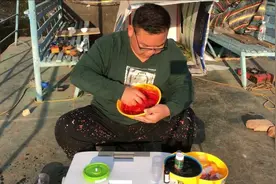 小胖再次挑战金海湖鲤鱼，却来晚了，教大家如何开制虾饵视频封面