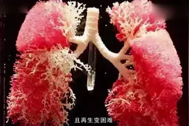 戒烟之后变黑的肺还能恢复正常吗？来看一下吧！视频封面