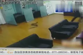 南宁：蟒蛇“从天而降”，吓坏银行员工，将被送往救助中心视频封面