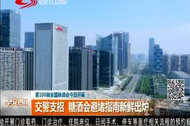 交警支招 糖酒会避堵指南新鲜出炉视频封面