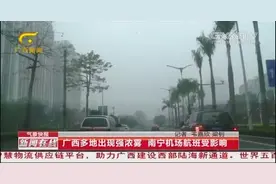 广西多地出现强浓雾 南宁机场航班受影响，导致多辆航班取消