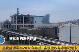 分红近10亿！嘉化能源2018年财报亮点分析视频封面