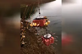 一个鱼竿放60个钩子，再钓不到鱼就尴尬了视频封面