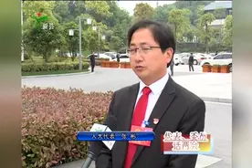 新县：代表、委员话两会（二）视频封面