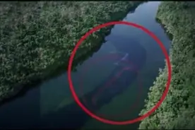 卫星偶然在亚马逊河拍到庞大生物，震惊了所有人视频封面