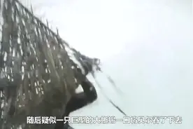 《荒野求生》遭停播，那个神奇的男人贝尔，疑似死亡视频流出？