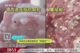 如何区分脂肪颗粒与“痘猪肉”？食用“痘猪肉”会影响健康吗？视频封面