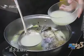 鱼汤越白越有营养？节目组用试验告诉你真相，结果你绝对想象不到