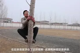 农村小贾教你儿时必备技能爬树，简单又好学