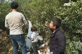 离清明节还有几天的时间，24号云南很多地方就已经开始扫墓了视频封面