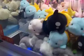 复位键能让娃娃机一抓就中？是真是假，一起来试试吧！