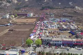 千亩梨园 万众观赏 宁阳县神童山梨花会人气爆棚视频封面