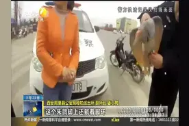 周至农民田间发现受伤朱鹮 警民联手送救治视频封面