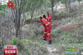 鄠邑区：严厉打击破坏秦岭野生动物违法犯罪视频封面