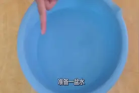 内裤发黄还有异味？教你一个小妙招，去除异味视频封面