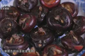 荸荠既是水果，也是蔬菜，一道荸荠红椒炒虾仁馋得人口水直流视频封面