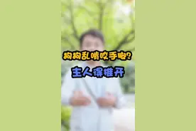 狗狗乱啃咬手脚？训犬师来支招#狗狗 @头条宠物
