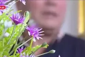 公共绿地被圈占，小亭子彩钢房连成片，净月花园小区被物业弃管