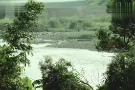 陈思安《捡破烂》超好听的一首歌曲