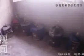 西安鄠邑民警查处非法养殖野生鸟类窝点  112只野生鸟被放归山林