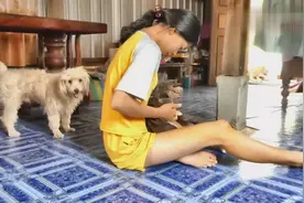 美女抱着狗狗玩耍，狗狗竟然跳了出来，真是身在福中不知福！视频封面