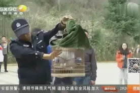 西安警方查获112只野生鸟类，在太平国家森林公园将其统一放飞