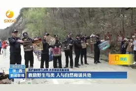 西安警方打掉非法贩卖野生动物窝点，现场收集鸟类112只视频封面