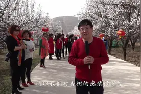 天水新阳古镇第二届杏花旅游节专访著名金石书法家毛晓春先生视频封面