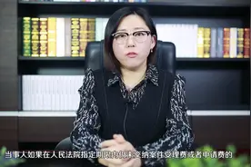 不交诉讼费的后果视频封面