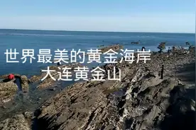 世界最完美的黄金海岸
---大连黄金山赶海拾贝视频封面