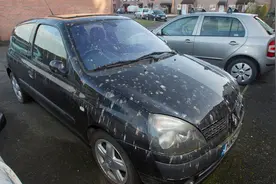 停车时，常见的鸟屎和狗尿对车子有什么影响？老司机支招，很有效视频封面