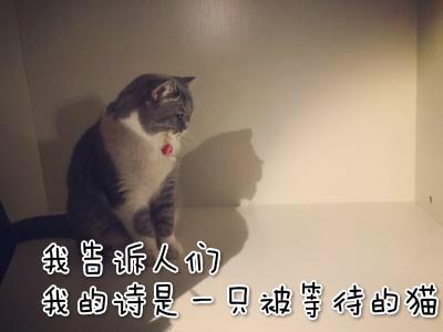 人的心态与面相的关系,以及面相流年歌分享