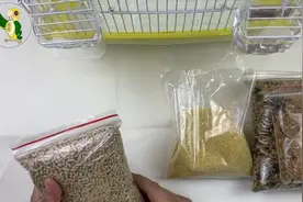 宠物鹦鹉吃什么饲料好？切记避免单一饲料，还有一种饲料非常好视频封面